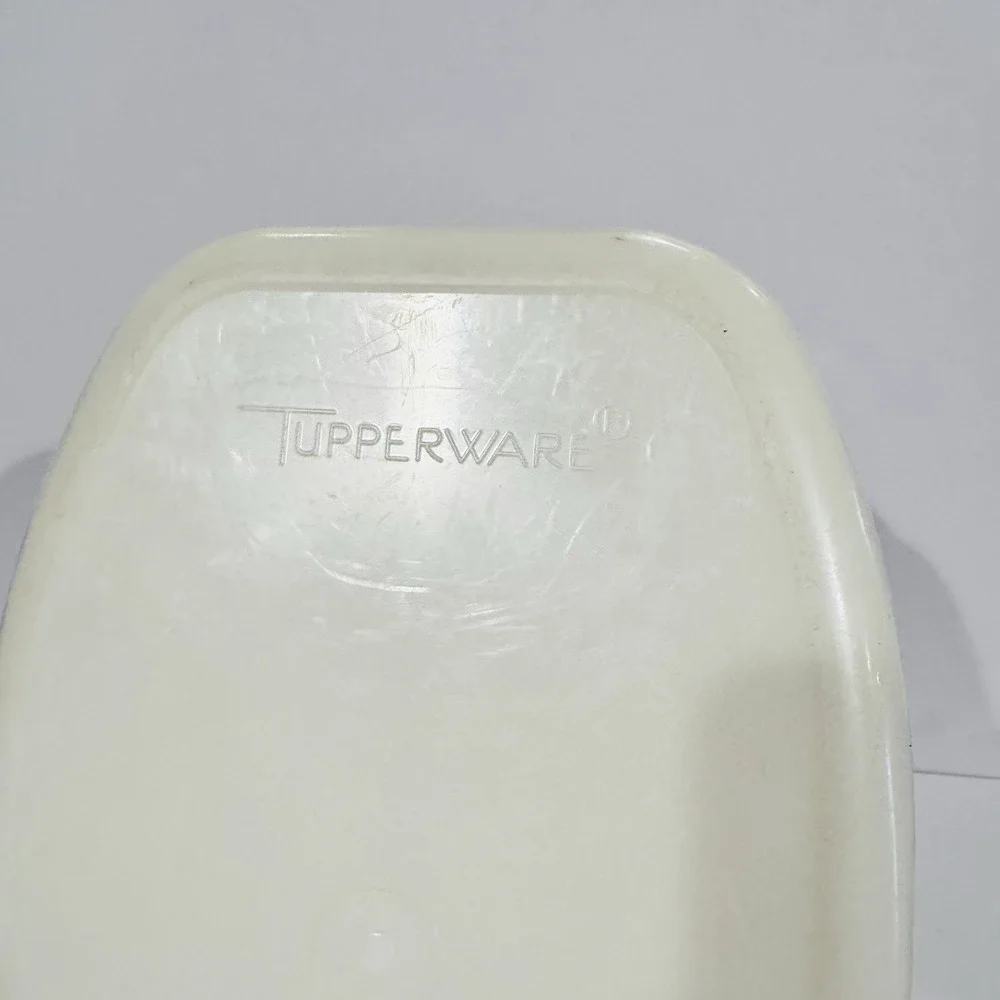 Vintage‎ Tupperware Roaster Flavor Savor Clear Plastic W Insert